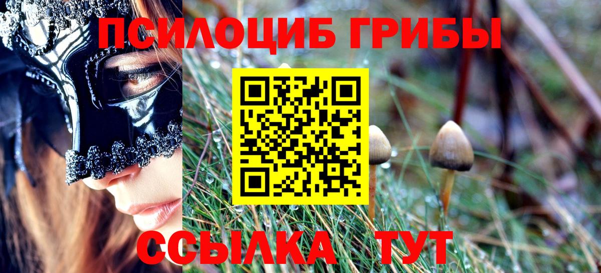 Псилоцибиновые грибы Cubensis Тайшет