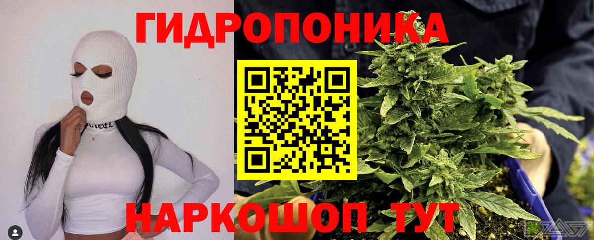 Шишки марихуана Bruce Banner Тайшет